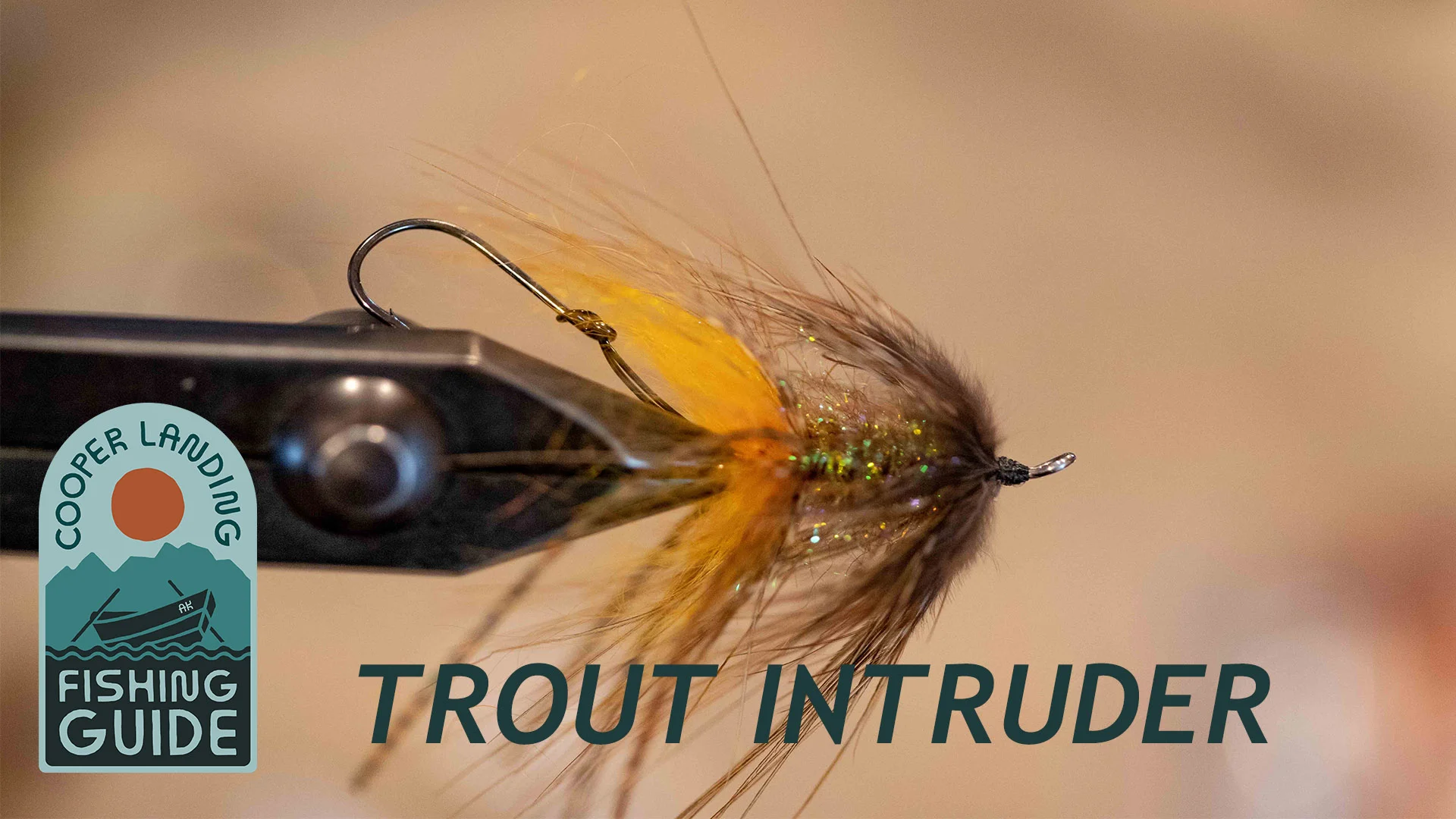 Trout Spey Fly Patterns - A Simple Trout Intruder Fly